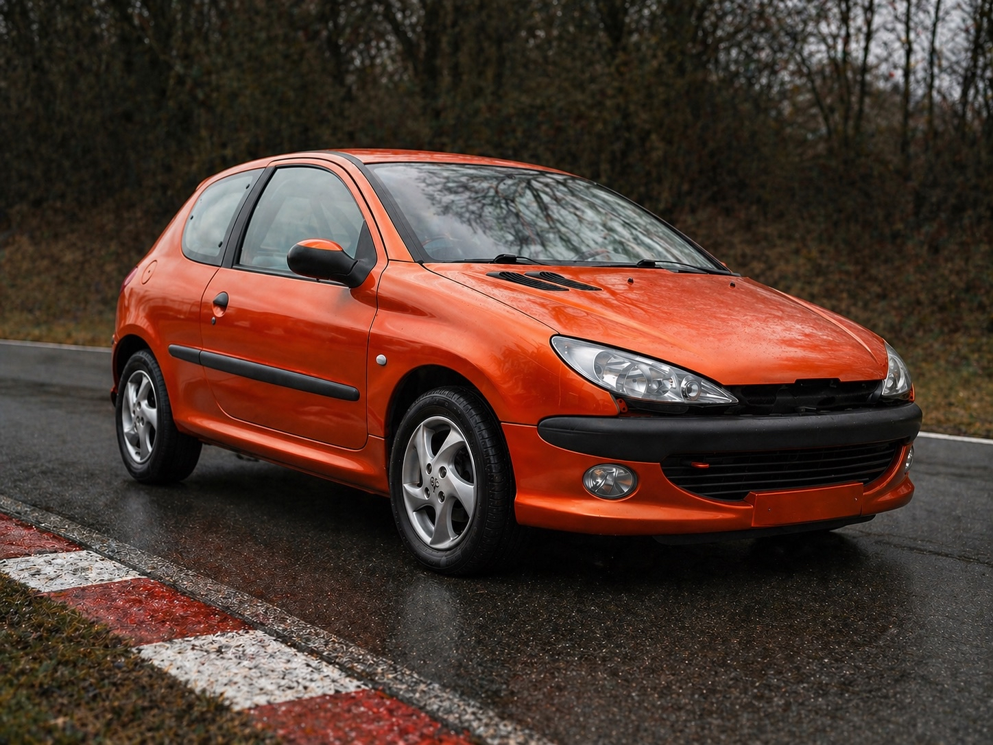 Peugeot 206 Racing